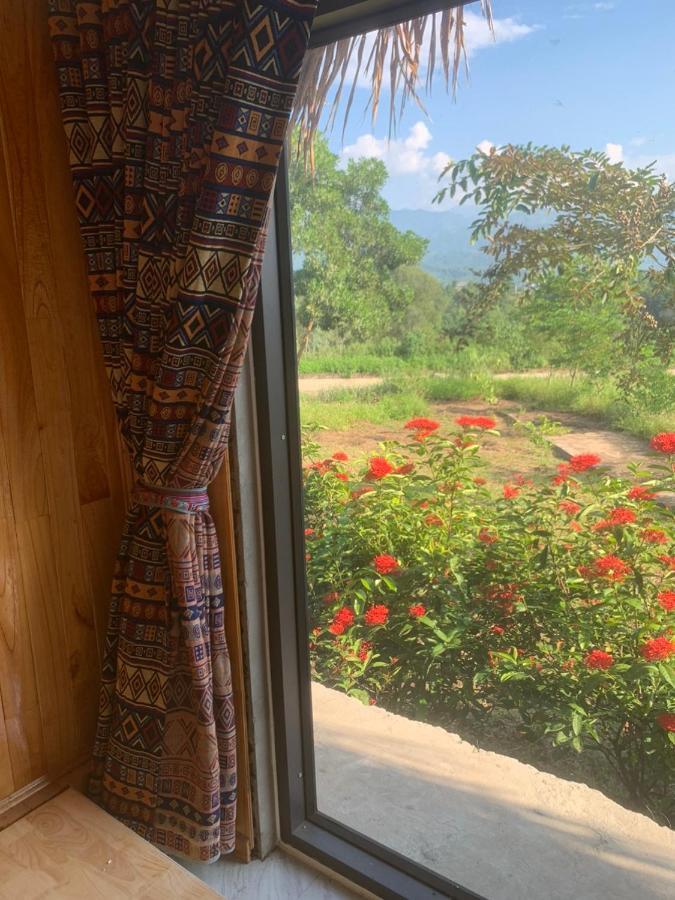 Homestay Nha Cua Mi - Mi'S House Yen Bai 外观 照片