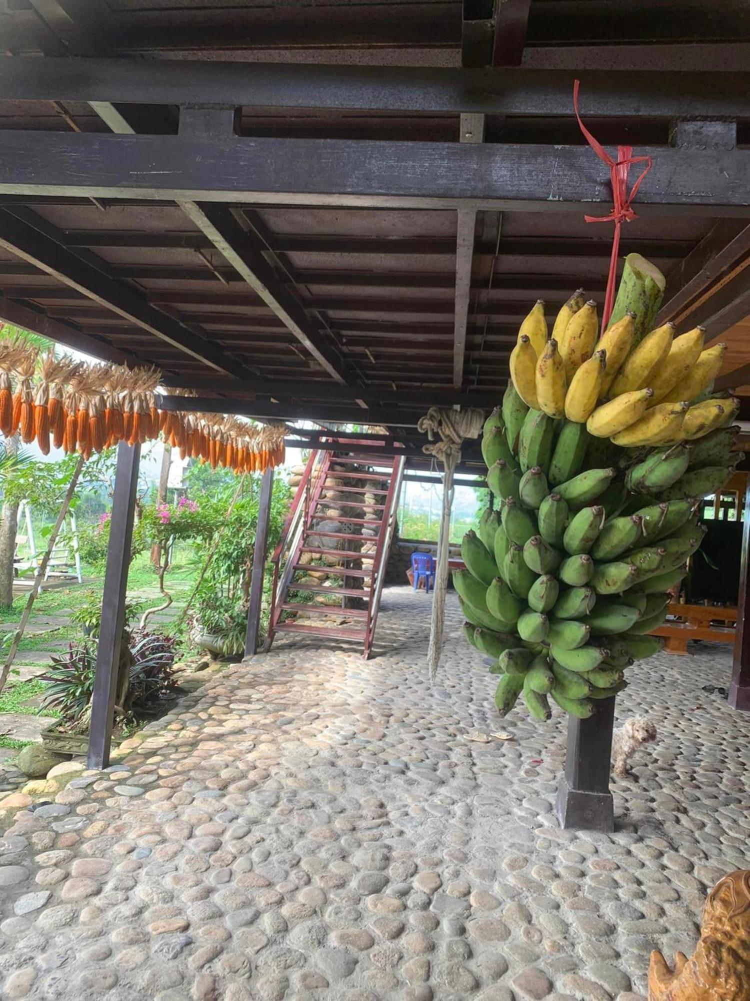 Homestay Nha Cua Mi - Mi'S House Yen Bai 外观 照片