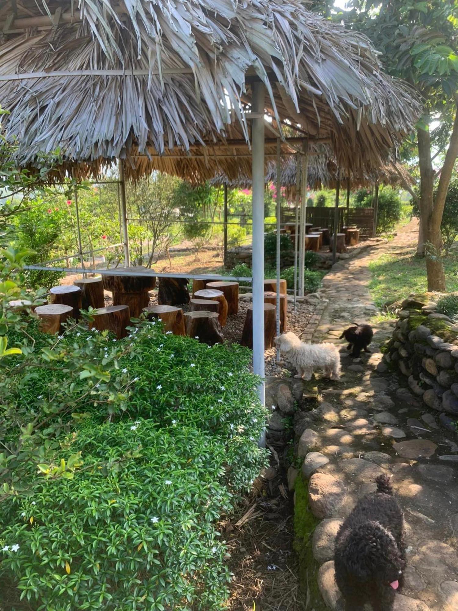 Homestay Nha Cua Mi - Mi'S House Yen Bai 外观 照片