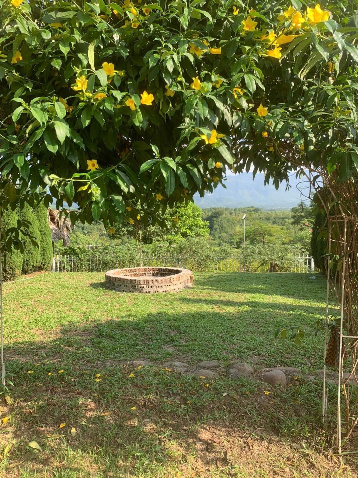 Homestay Nha Cua Mi - Mi'S House Yen Bai 外观 照片