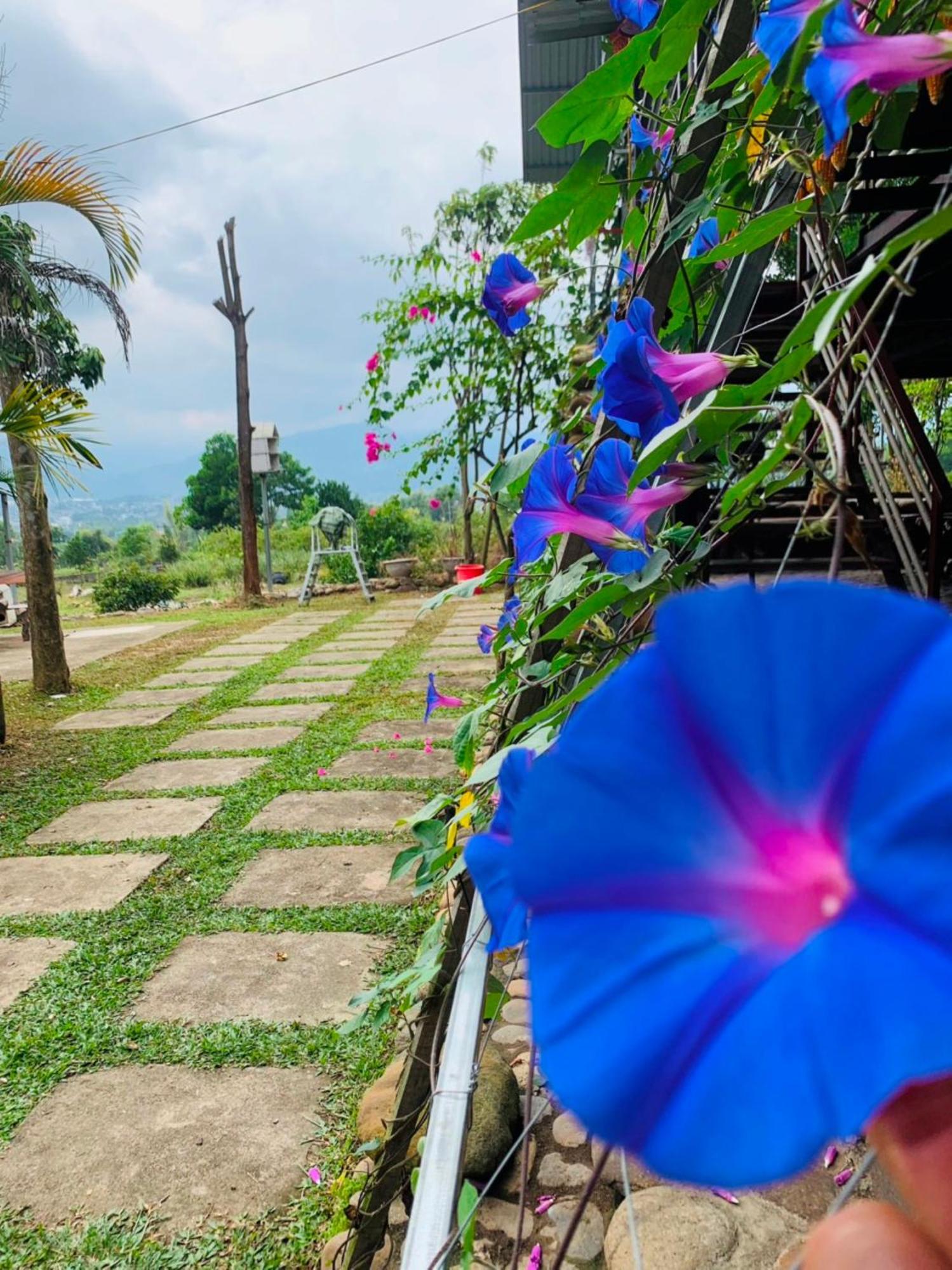Homestay Nha Cua Mi - Mi'S House Yen Bai 外观 照片
