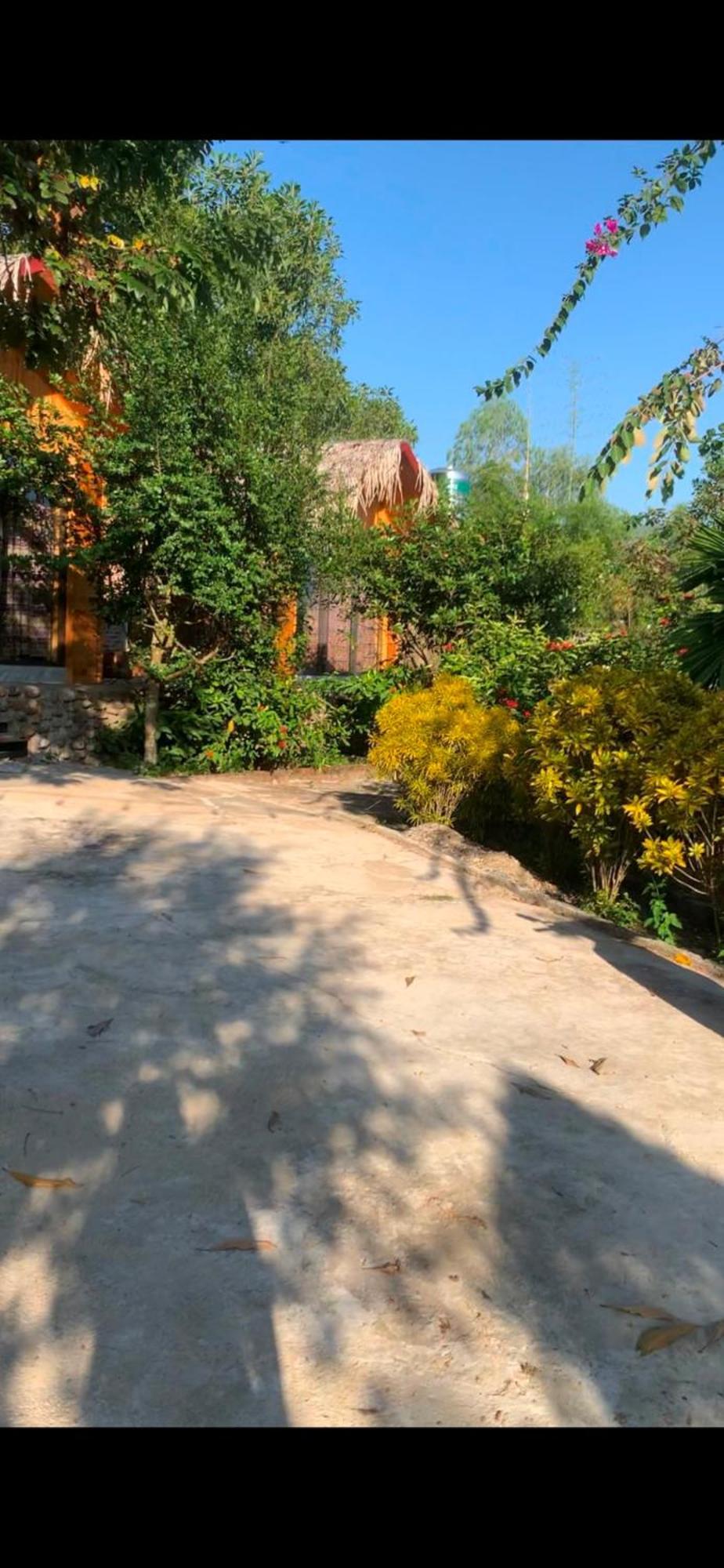 Homestay Nha Cua Mi - Mi'S House Yen Bai 外观 照片